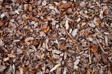 Tree Bark Mulch