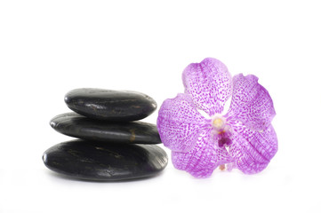 Close up black pebbles with beauty orchid