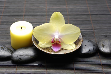 Yellow orchid flower in bowl and candle on zen pebble
