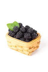 Fresh Blackberries in basket