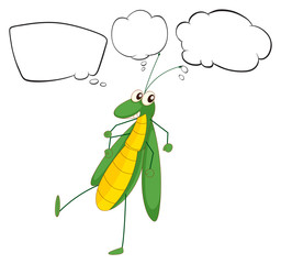 An insect with empty callouts