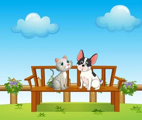 Foto op Plexiglas Een kat en een hond op de bank © GraphicsRF