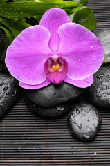 Pink orchid and zen Stones with green plant on mat