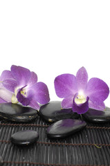 spa concept-two pink orchid laying on zen stones on mat