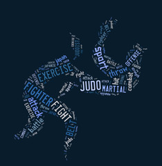 Judo pictogram on blue background