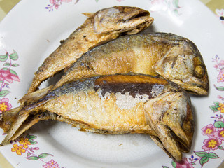Fried mackerel fish on dish