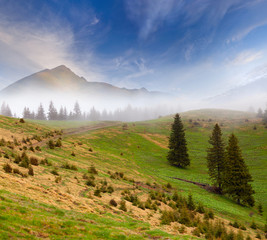 Beautiful spring landscape in the foggy mountains.