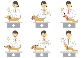 動物病院で治療を受けるダックスフント