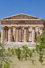 Paestum Temple