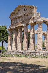 Paestum Temple