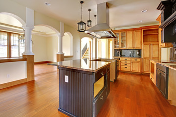 New construction luxury home interior. Kitchen.