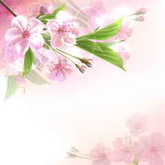 Blossoming tree branch with pink flowers