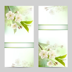 Set of spring banners