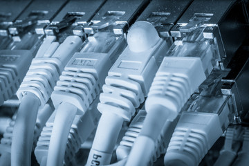 ethernet cables connected to switch