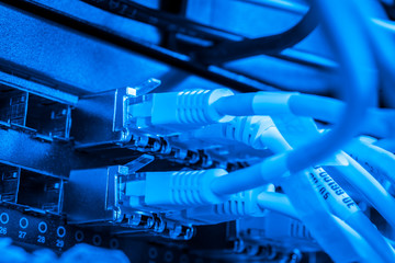 network hub and patch cables