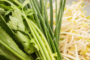 Obraz premium group of coriander