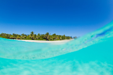 Tropical Island