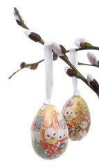 Twigs of the willow on the white background © bluebat