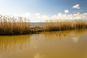 Sardegna, stagno di Cabras (Or)