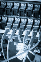 ethernet cables connected to switch