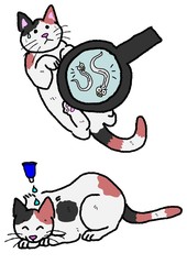 猫、寄生虫、駆除