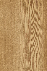 surface of the brown wood, vector illustration
