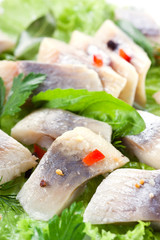 herring fillet with vegetables. Macro
