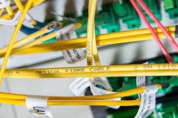 ethernet cables connected to switch