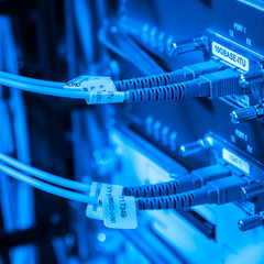 ethernet cables connected to switch