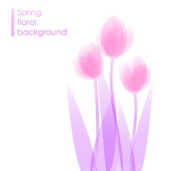 Lovely tulips / spring flower background