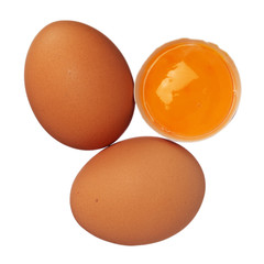 Whole eggs and egg yolk in shell isolated on white