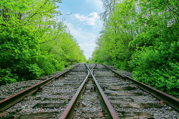 crossing of two railroads in green wood