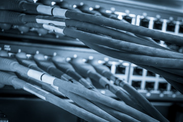 network hub and patch cables