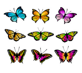 papillons - 1