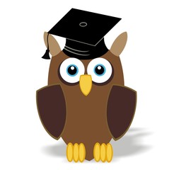study owl - university - college