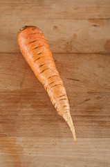carotte lavée
