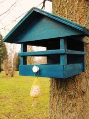 blaues Vogelhaus