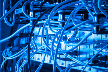 ethernet cables connected to switch