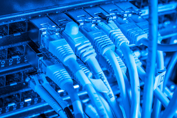 Fototapeta premium network hub and patch cables