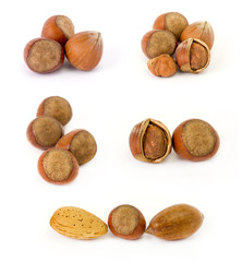 Collection of nuts