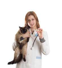 veterinarian with a cat and a thermometer