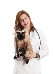 Siamese cat and the vet
