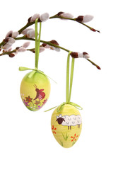 Easter eggs hanging from willow branches - obrazy, fototapety, plakaty