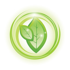 Obraz premium Two leaves in circles