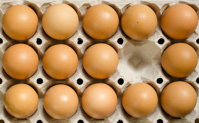 Tray of brown eggs