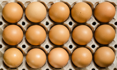 Brown eggs