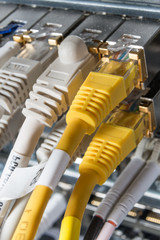 network hub and patch cables