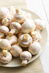 Champignon mushrooms