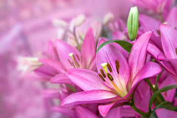 Bouquet of purple lilies.