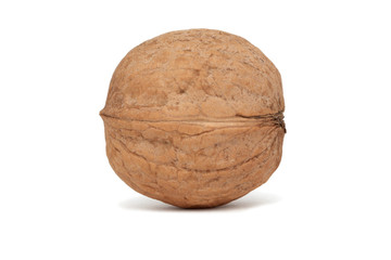 One walnut (isolated)